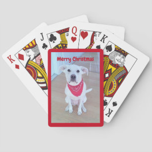 Foto Niedlicher Hunde mit sonnigen Ohrklemmen Spielkarten