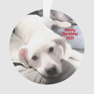 Foto Niedlicher, müde Welpenhund Vater Weihnachten Ornament
