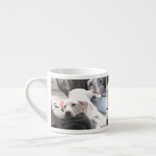 Foto Niedlicher weißer Hund mit bester Freundscha Espressotasse