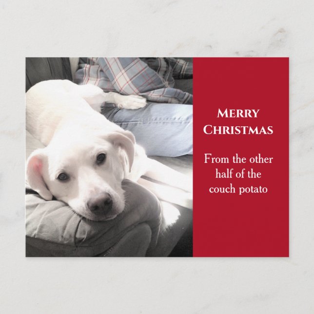 Foto Niedlicher weißer Hund mit Vater Weihnachten (Vorderseite)