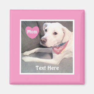 Foto Niedlicher weißer Labrador Mix Dog Pink Mama Magnet