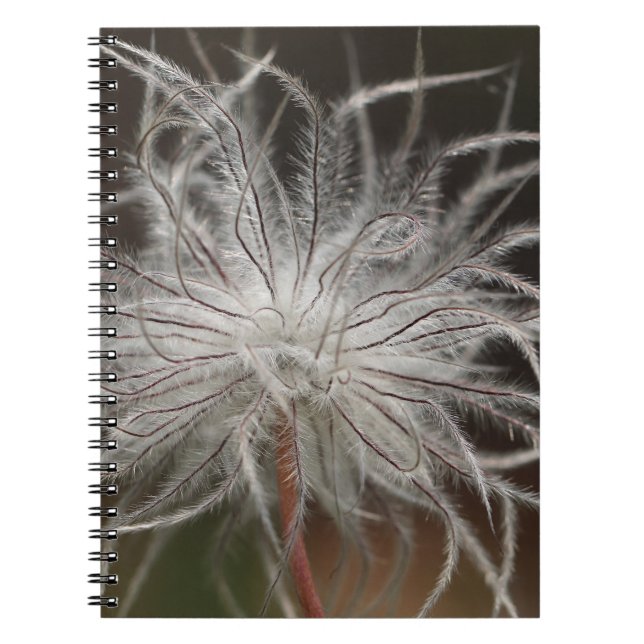 Foto Notebook (80 Seiten B&W) Notizblock (Vorderseite)