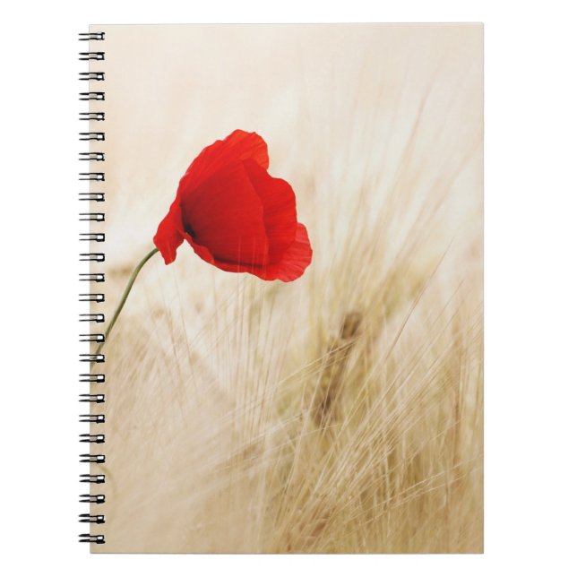 Foto Notebook (80 Seiten B&W) Notizblock (Vorderseite)