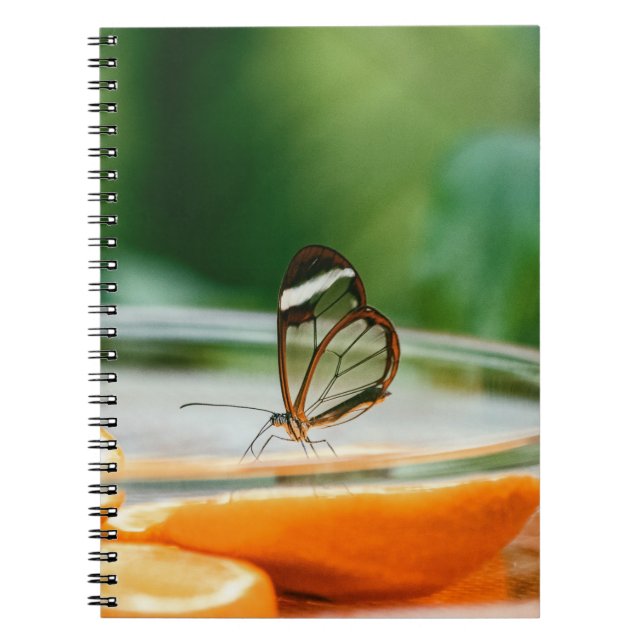 Foto Notebook (80 Seiten B&W) Notizblock (Vorderseite)