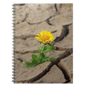 Foto Notebook (80 Seiten B&W) Notizblock