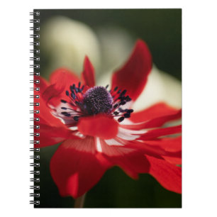 Foto Notebook (80 Seiten B&W) Notizblock