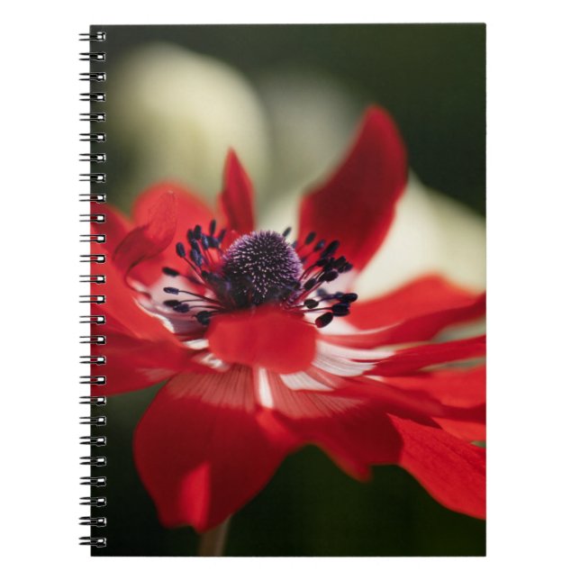 Foto Notebook (80 Seiten B&W) Notizblock (Vorderseite)