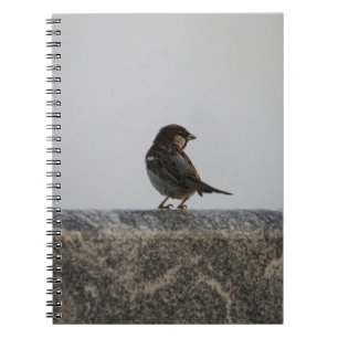 Foto Notebook (80 Seiten B&W) Notizblock