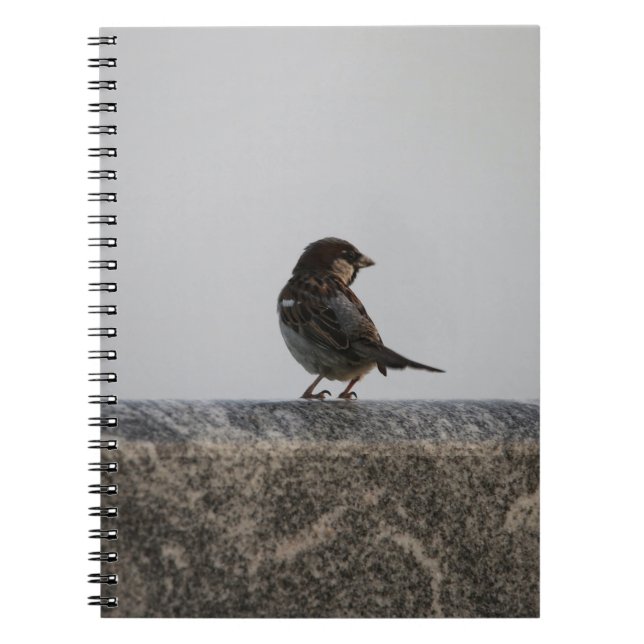 Foto Notebook (80 Seiten B&W) Notizblock (Vorderseite)