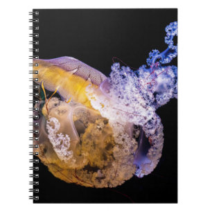 Foto Notebook (80 Seiten B&W) Notizblock