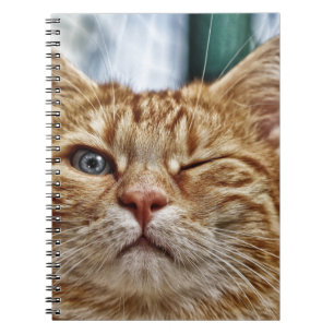 Foto Notebook (80 Seiten B&W) Notizblock