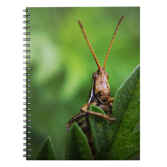 Foto Notebook (80 Seiten B&W) Notizblock (Vorderseite)