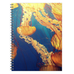 Foto Notebook (80 Seiten B&W) Notizblock