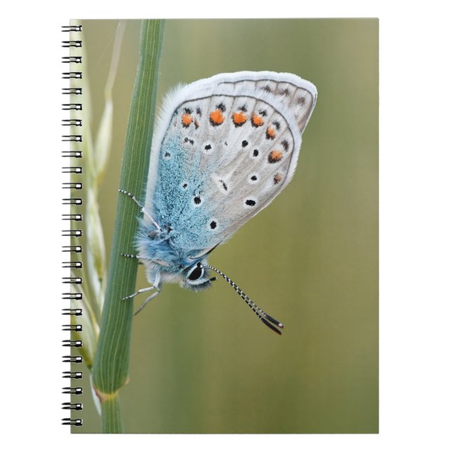 Foto Notebook (80 Seiten B&W) Notizblock (Vorderseite)