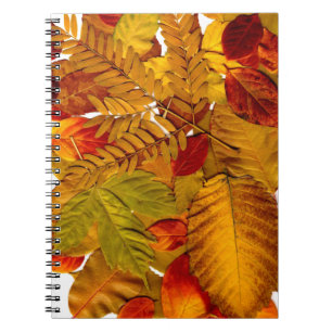 Foto Notebook (80 Seiten B&W) Notizblock