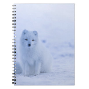 Foto Notebook (80 Seiten B&W) Notizblock