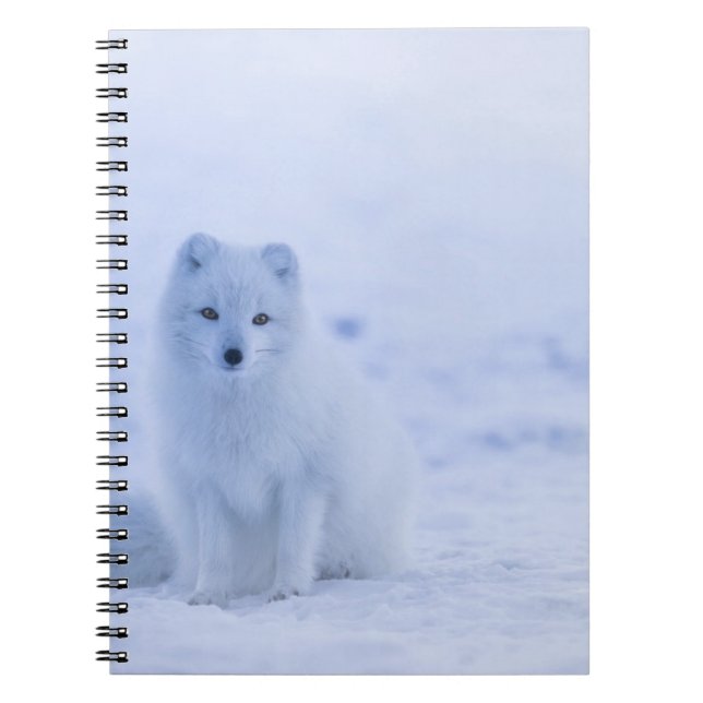 Foto Notebook (80 Seiten B&W) Notizblock (Vorderseite)