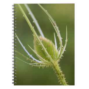 Foto Notebook (80 Seiten B&W) Notizblock