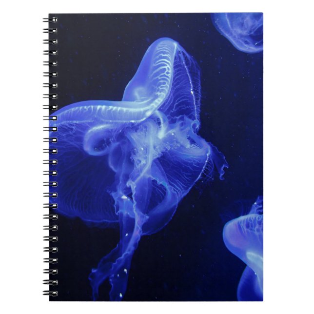 Foto Notebook (80 Seiten B&W) Notizblock (Vorderseite)