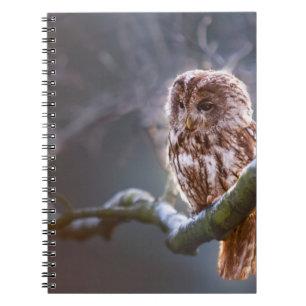 Foto Notebook (80 Seiten B&W) Notizblock