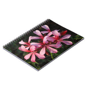 Foto-Notizbuch mit rosa Blumen (80 Seiten S/W) Notizblock