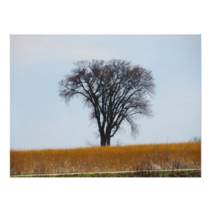 Foto "Nurtured in Bloodshed"