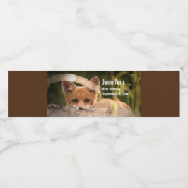 Foto of a Cute Little Orange Fox