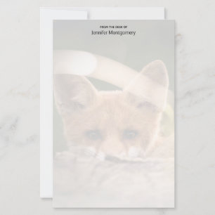 Foto of a Cute Little Orange Fox