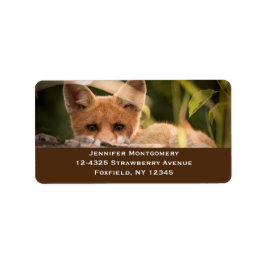 Foto of a Cute Little Orange Fox Adressaufkleber