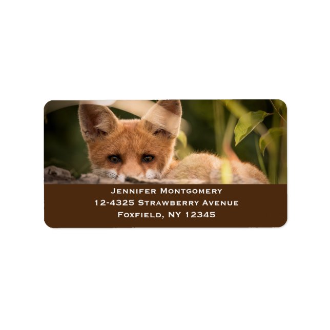 Foto of a Cute Little Orange Fox Adressaufkleber (Vorne)