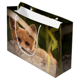Foto of a Cute Little Orange Fox Große Geschenktüte