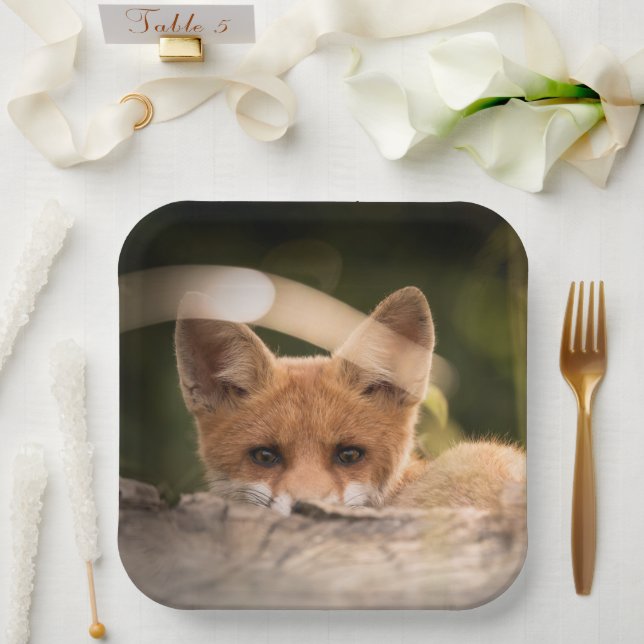 Foto of a Cute Little Orange Fox Pappteller (Hochzeit)