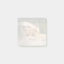 Foto of a Cute Little Orange Fox Post-it Klebezettel
