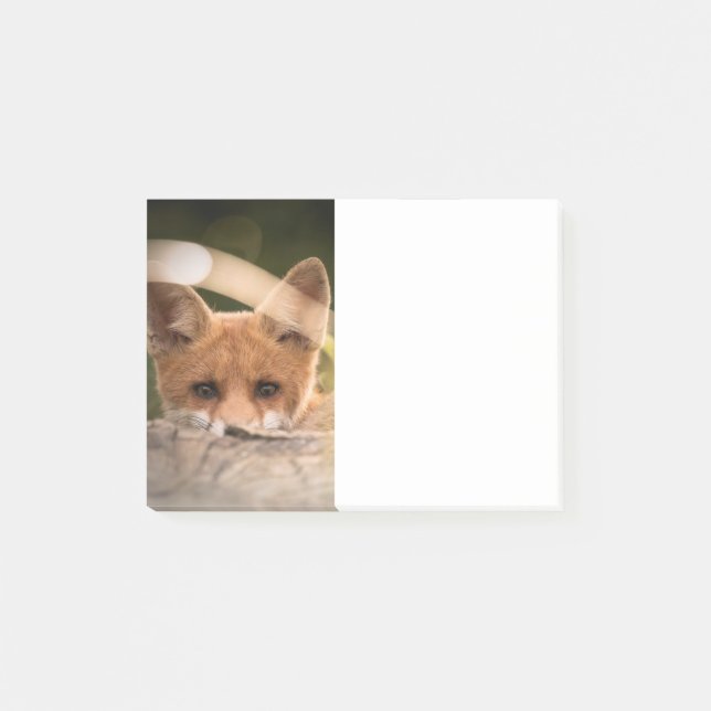 Foto of a Cute Little Orange Fox Post-it Klebezettel (Vorderseite)