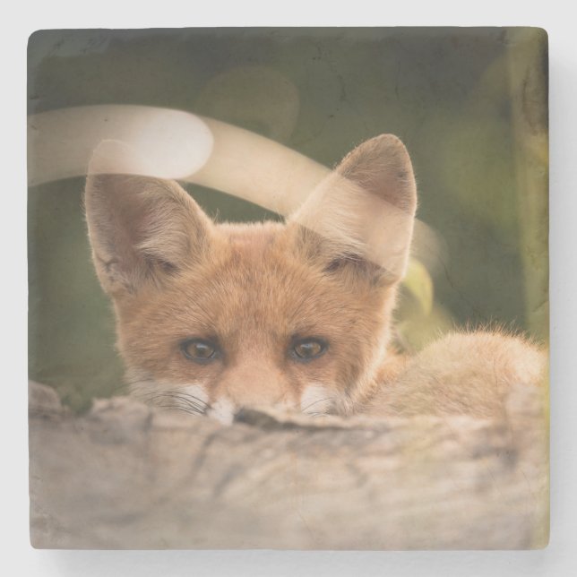 Foto of a Cute Little Orange Fox Steinuntersetzer (Vorderseite)