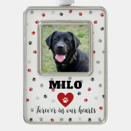 Foto Ornament Rahmen-Ornament Silber