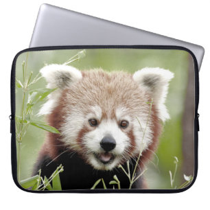 Foto Panda , Tiere Laptop Hüllen . Laptopschutzhülle