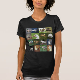 Foto Patchwork Square - Vögel T-Shirt