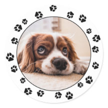 Foto Pawprints
