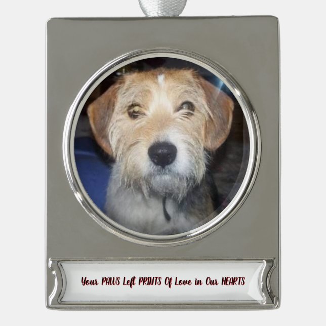 FOTO PAWS VON GRACE-Erinnerungen Banner-Ornament Silber (Vorderseite)