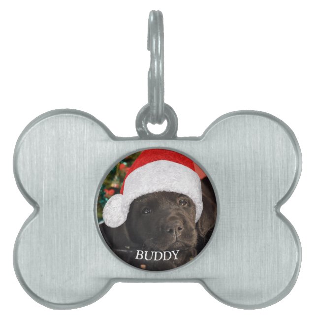 Foto Personalisierter Hund Lover Tiermarke (Vorderseite)