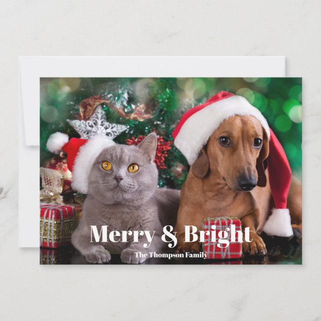 Foto Pet Merry und Bright Feiertagskarte (Vorderseite)