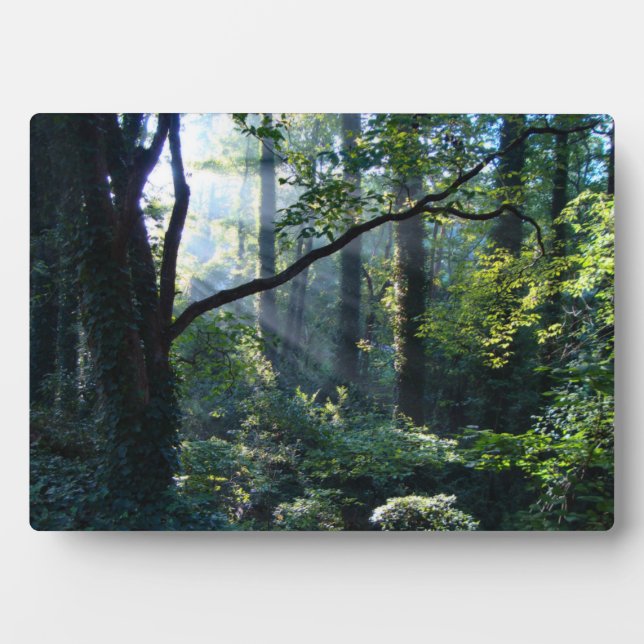 Foto Plaque Fotoplatte (Vorderseite)
