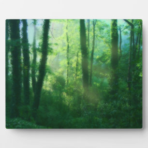 Foto Plaque Fotoplatte