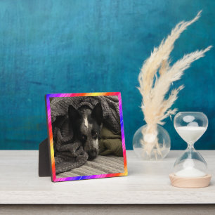 Foto Plaque Neon Border HAMbWG Fotoplatte