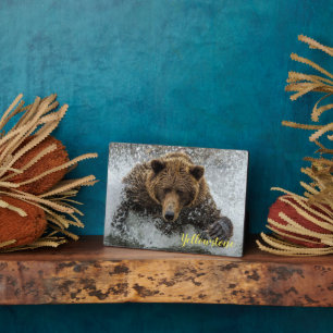 Foto Plaque-Yellowstone Bären Plaque Fotoplatte