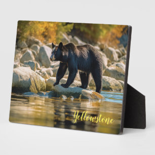 Foto Plaque-Yellowstone Schwarzer Bär Fotoplatte