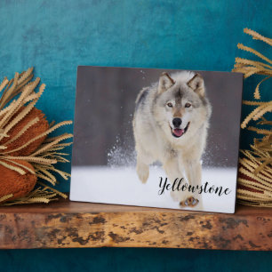Foto Plaque-Yellowstone Wolf Plaque Fotoplatte