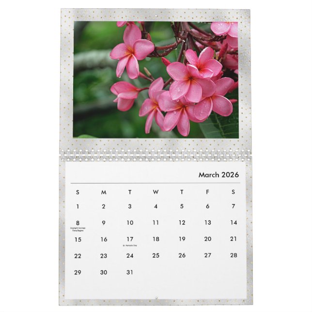 Foto Plumeria Tropical Blume  Kalender (Mär 2026)