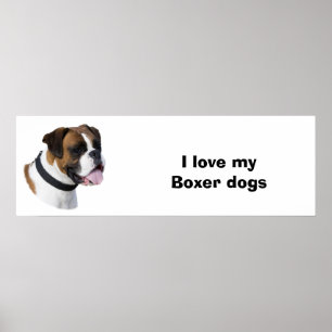 Foto Poster